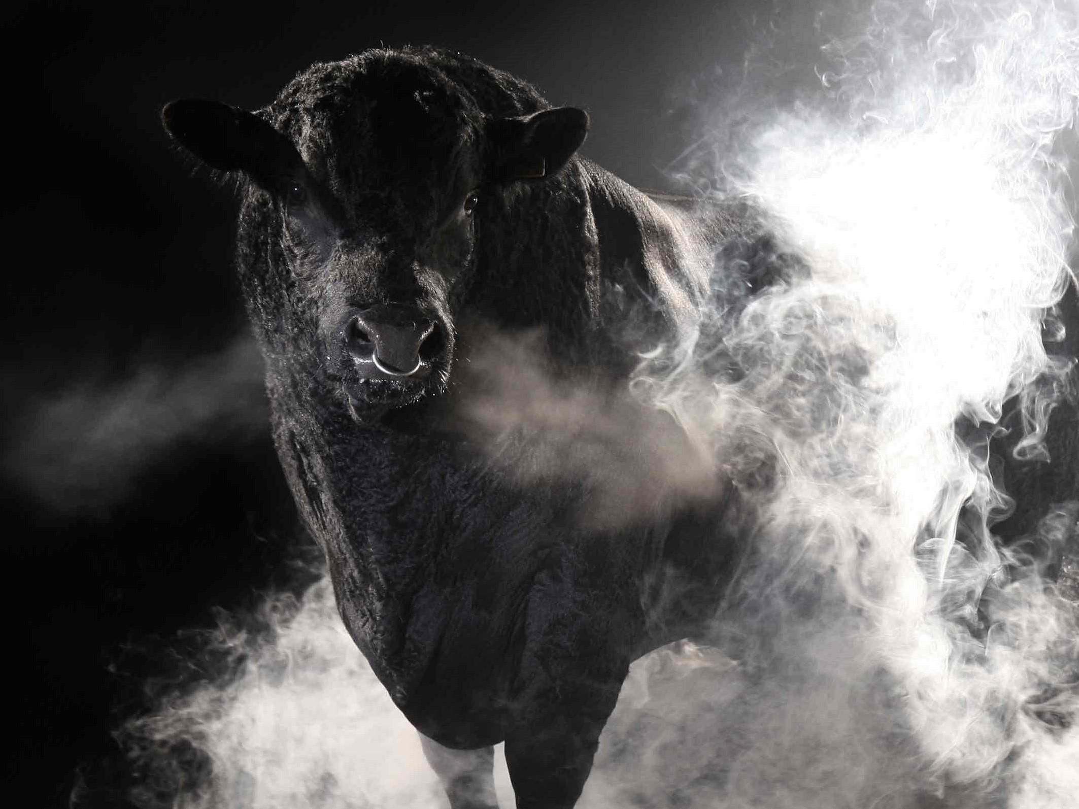 Qualität überzeugt